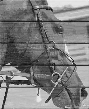 Картины по номерам на дереве DALI ФТ.WF001 Лошадь в поводьях 40х50 см