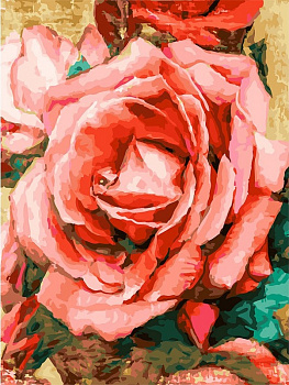 Картины по номерам Белоснежка арт.БЛ.394-AS Благородная роза 30х40 см