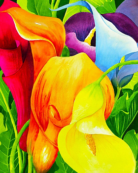 Набор Колор Кит картина со стразами арт.КК.CKC036 Разноцветные каллы 40х50