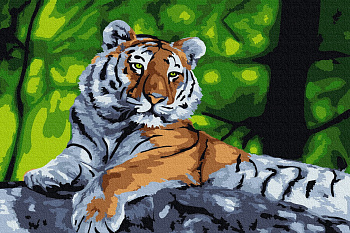 Набор юного художника Molly арт.KH0875 Амурский тигр (14 Цветов) 20х30 см