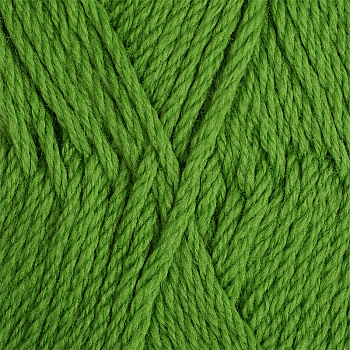 Пряжа для вязания ПЕХ Пехорская шапка (85% мериносовая шерсть, 15% акрил высокообъемный) 5х100г/200м цв.434 зеленый