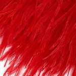 Перья на ленте Страус TBY арт.15-055 шир.15см цв. красный уп.2м