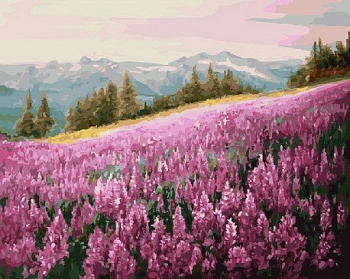 Картины по номерам Розовое поле GX5784 40х50 тм Цветной