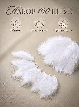 Перья для рукоделия декоративные TBY.F01 цв.белый уп.100шт