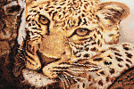 Набор для вышивания LUCA-S арт. B525 Леопард 40х28,5 см